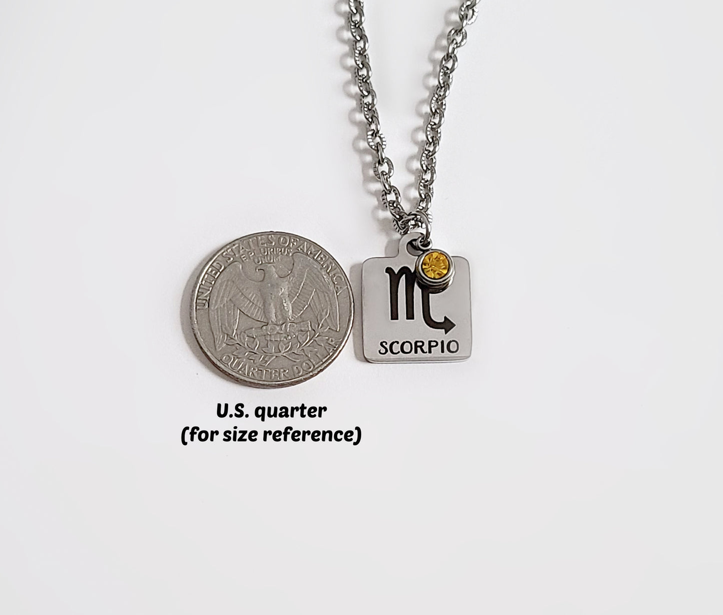 Stainless Steel Zodiac & Birthstone Necklace -- EF0267