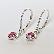 Load image into Gallery viewer, Sterling Silver Birthstone Dangle Earrings -- E265
