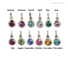 Load image into Gallery viewer, Sterling Silver Birthstone Charm Necklace -- EF0219
