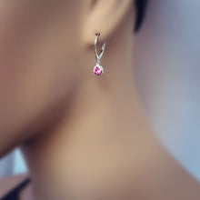 Load image into Gallery viewer, Sterling Silver Birthstone Dangle Earrings -- E265
