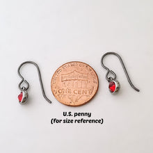 Load image into Gallery viewer, Hypoallergenic Birthstone Dangle Earrings -- EF0225
