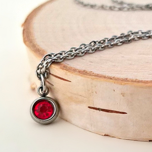 Stainless Steel Birthstone Charm Necklace
