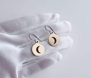 Stainless Steel Crescent Moon Dangle Earrings - E235